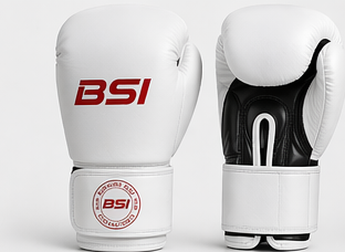Gants de boxe BSI PRO – Cuir véritable | Entraînement & Sparring